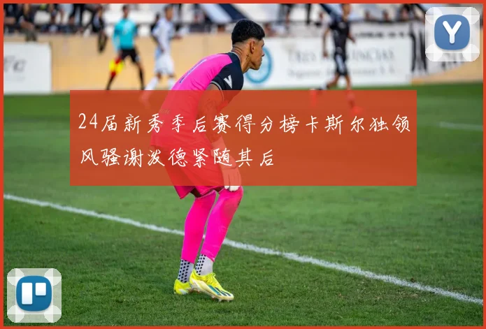 24届新秀季后赛得分榜卡斯尔独领风骚谢泼德紧随其后