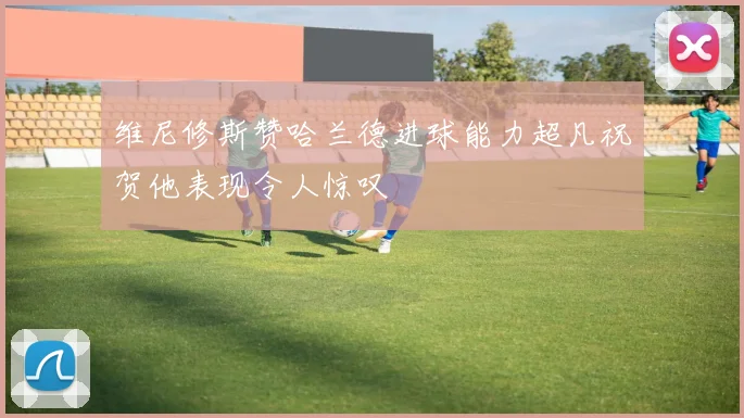 维尼修斯赞哈兰德进球能力超凡祝贺他表现令人惊叹