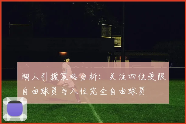 湖人引援策略分析：关注四位受限自由球员与八位完全自由球员